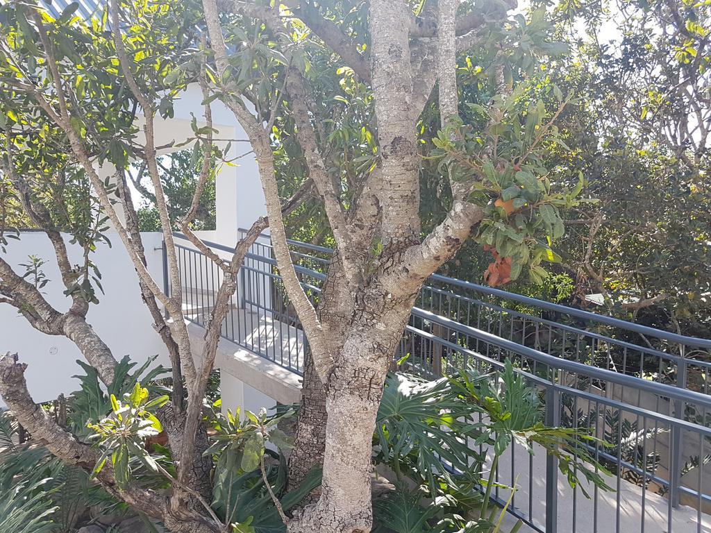 Apartamento Be Our Guest Self Catering *
